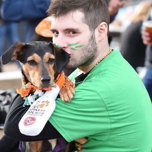 Meet your Posher, Peter